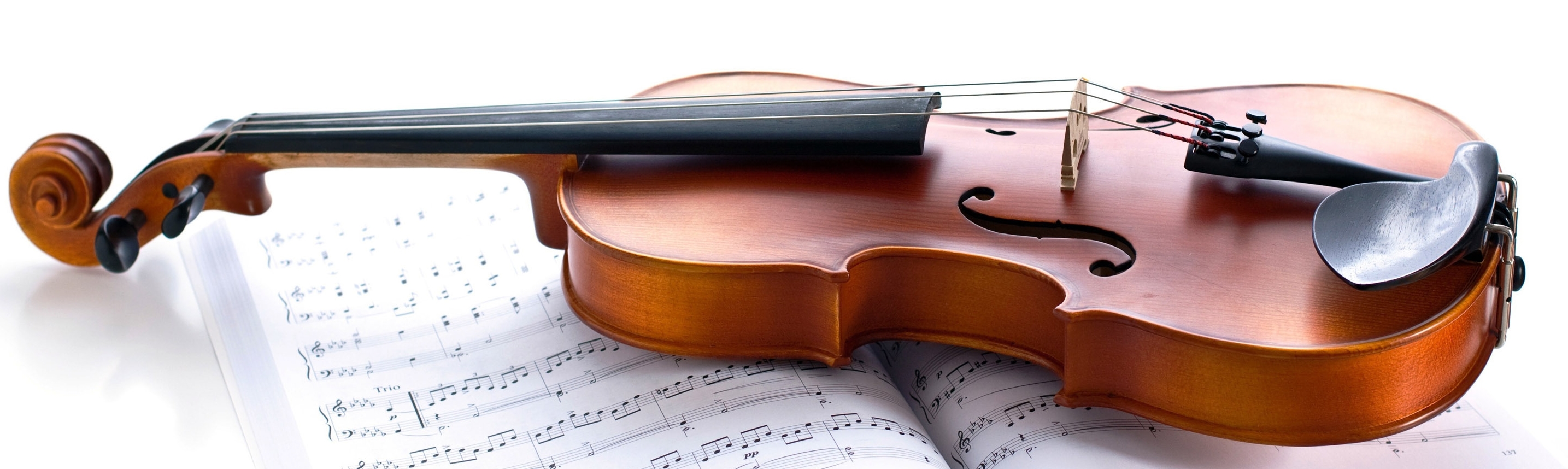 6 Important Tips to Improve Violin Skills